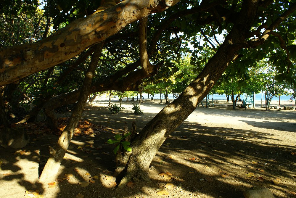 Fotos de Apartamentos Costambar en la playa Costambar en Puerto Plata, República Dominicana